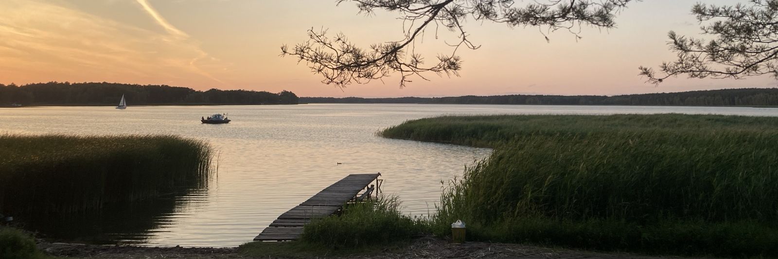 A beautiful lake by night, shot from the shore, with a small jetty and lots of water weeds in the foreground, a small boat and a sailboat in the background, the sky's color implies a beautiful sunset to the side.